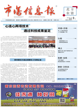 市場信息報 市場信息咨詢的價值與實踐指南