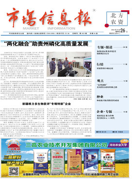市場信息咨詢的價(jià)值與實(shí)踐路徑